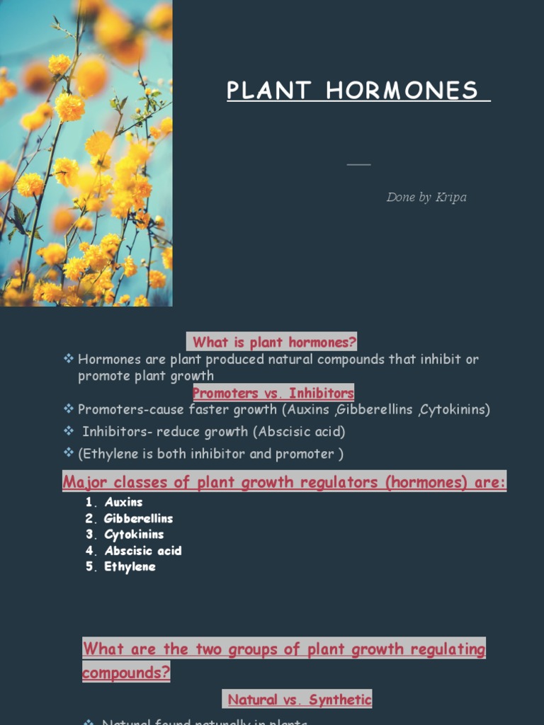 Plant Hormones PDF Plant Hormone Auxin