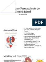 Anatomia e fisiologia renal