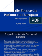 Grupurile Politice Din Parlamentul European