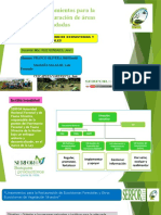 Lineamientos de Restauracion de Areas Degradadas