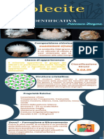 La Scolecite (Scheda Minerale)