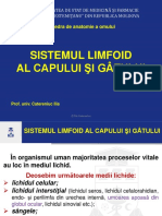 13_Sistemul limfoid al capului și gâtului