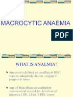 Macrocytic Anemia