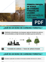 CDMX - Implementación Del Bonos de Carbono Forestal