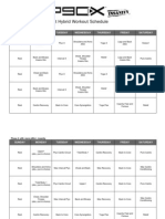 P90x, Insanity, and Insanity Asylum All Out Hybrid Workout Schedule