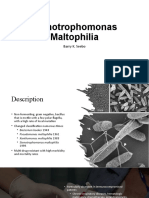 Stenotrophomonas Maltophilia: Barry K. Seebo