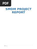 SMDM Project Report