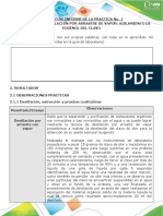 Anexo 1 - Formato de Informe de Laboratorio - Química Orgánica