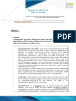 Formato de Entrega Tarea 4