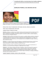 Bolivia La Nueva Constitucion Politica y Los Derechos de Los Pueblos Indigenas - 2009-01-26
