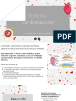 Sistema Cardiovascular