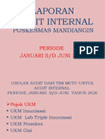 Audit Internal