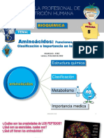 Aminoácidos: Funciones e importancia en seres vivos