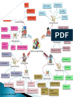 Estilo de Aprendizaje-Kolb-Mapa Mental