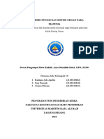 K10-Mekanisme Fungsi Dan Sistem Organ Pada Manusia