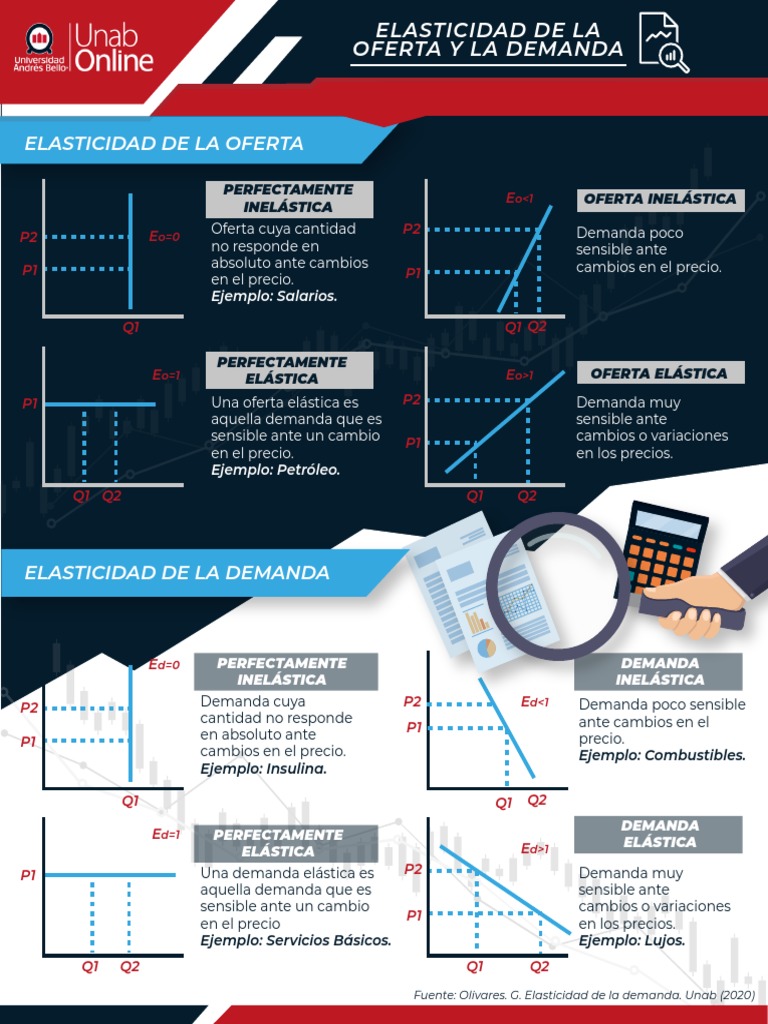 Elasticidad de Oferta y Demanda Explicada | PDF | La elasticidad precio ...