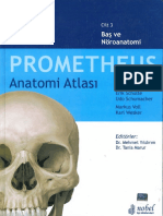 Prometheus Anatomi Atlası - Cilt 3