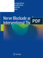 Kiyoshige Ohseto, Hiroyuki Uchino, Hiroki Iida - Nerve Blockade and Interventional Therapy (2019, Springer Japan)