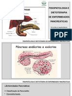 Aula 9 - Fisiopatologia e Dietoterapia das Enfermidades Pancreáticas