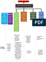 ITS Infecciones de Transmisión Sexual