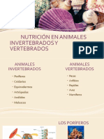 Nutrición animales invertebrados y vertebrados