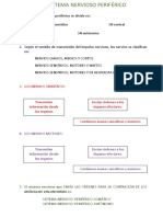 Sistema Nervioso Periferico