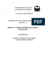 Práctica - Fuerzas Intermoleculares y Solubilidad (Previo e Informe) .