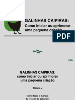 MÃ - DULO V - Manejo Das Galinhas