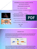 Tarea - Reporte Resultados