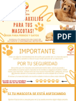 PDF1 Ros Auxilios para Mascotas