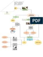 Mapa Mental - Historia