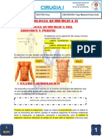 C.1.5.Semiologia Quirurgica LL 17-06-20