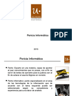 Peritaje Informatico 2015