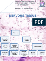 08. Nervous tissue presentation