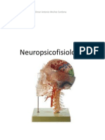 Neuropsicofisiología