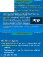 Mid Term 2 Nervous System