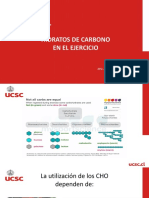 Hidratos de Carbono y Ejercicio