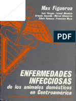 ENFERMEDADES INFECCIOSAS de Los Animales Domésticos en Centroamérica