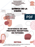 Diapositivas Bioquimica de La Visión