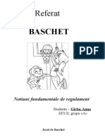 463913103-Referat-Baschet