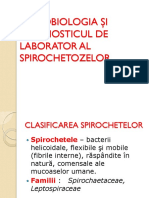Spirochete