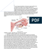 Ginecologia e Ostetricia