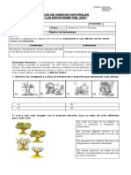 Guia N°1 Ciencias Naturales