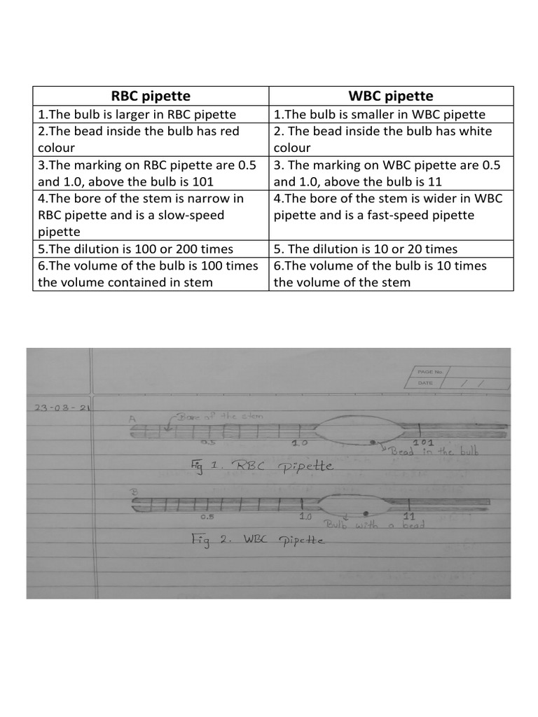 RBC and WBC Pipette Difference PDF