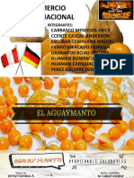 Comercio internacional del aguaymanto a Alemania