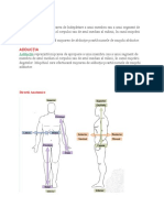 Abductia si Adductia