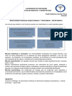 Infecciones Fúngicas Subcutaneas y Profundas