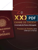 Ebook - Processo Trabalho 5 Temas