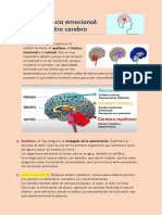 Aporte Cerebro e Inteligencia Emocional