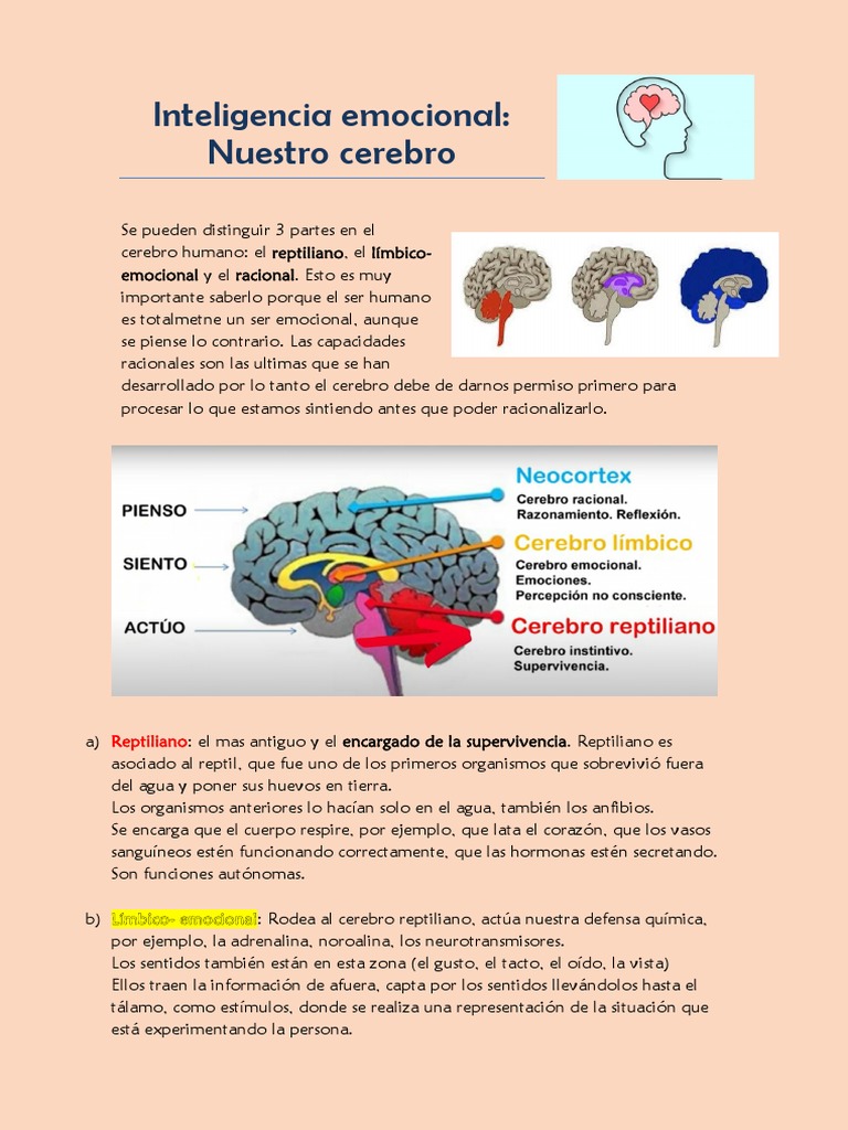 Cerebro y emociones: inteligencia emocional | PDF | Las emociones | Cerebro